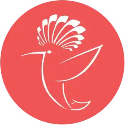 تخفیفان