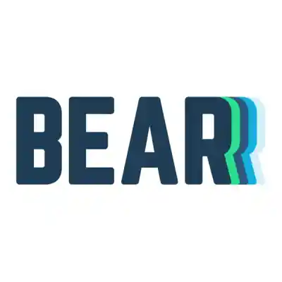 Bear Mattress