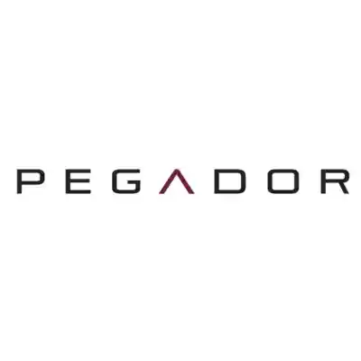 Pegador