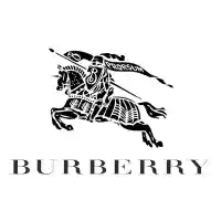 image of brand Burberry