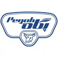 image of brand Pegah