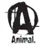 image of brand انیمال
