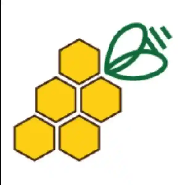 Free Shipping On All Orders at Best Bee Brothers