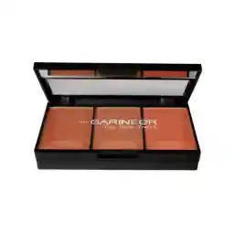 رژگونه گارنیر کد 402