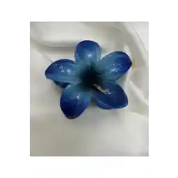 سگک گیره گل نیلوفر آبی نیروی دریایی آتلیه İreps