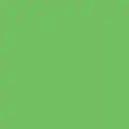 فون کاغذی Savage Widetone Seamless #46 Tech Green