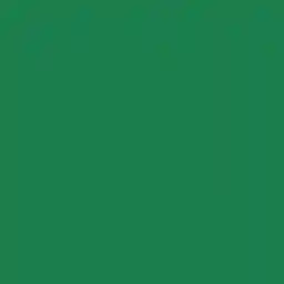 فون کاغذی Savage Widetone Seamless #35 Holly