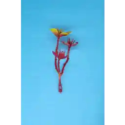 MD Aspiz Flowers 50 Pack گل مصنوعی سر 5cm__ تاک بدون گلدان خشک چراغ آویز تزئینی اتاق نشیمن گیاه برگ ارکیده