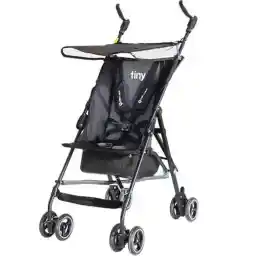 کالسکه دلیجان مدل تاینی