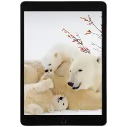 تبلت 10.2 اینچ اپل مدل iPad (9th Generation) 10.2 Wi-Fi (2021) ظرفیت 64 گیگابایت