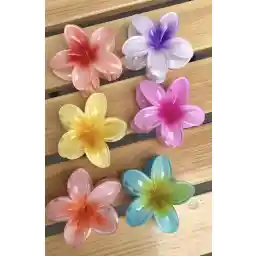 Monalisa Kadın Büyük Boy 6'Lı (8cm) Renkli Lotus Toka Seti