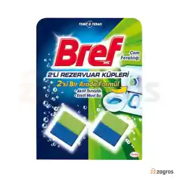 قرص ضدعفونی کننده فلاش تانک برف با رایحه درخت کاج 2 عددی