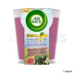 شمع لیوانی معطر ایرویک با رایحه شکوفه شاه توت و انجیر وحشی 105 گرم