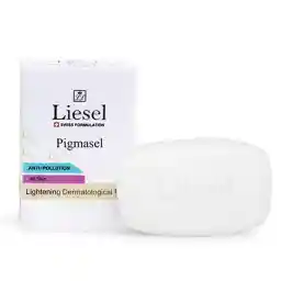 پن روشن کننده لایسل مدل Pigmasel وزن 100 گرمی