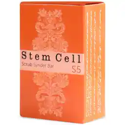 پن شفاف استم سل لایه بردار پوست وزن 100 گرمی