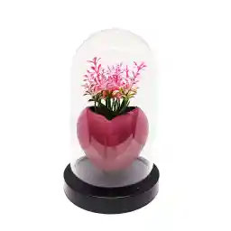 گل قلب در OrdoVeni Faunus - دکور میز / خانه / دفتر