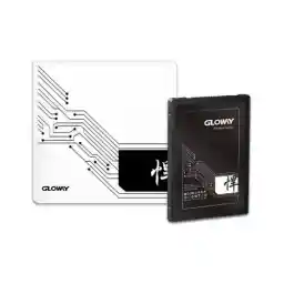 Gloway Stryker Serisi 960G SSD