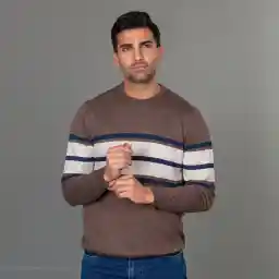 پلیور مردانه دیجی استایل اسنشیال مدل 249112427