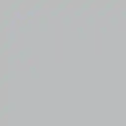 فون کاغذی Savage Widetone Seamless #09 Stone Gray