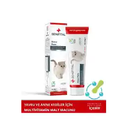 خمیر بچه گربه سودمند 100 گرمی خمیر مالت مولتی ویتامین با پشتیبانی از اسید فولیک برای بچه گربه ها و گربه های مادر
