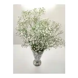 سیپسو شوک شده طبیعی به طبیعی سیپسو سفید برفی 22 گرمی کیفیت اول، سیپسوی شوک شده