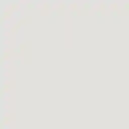 فون کاغذی Savage Widetone Seamless #90 Soft Gray