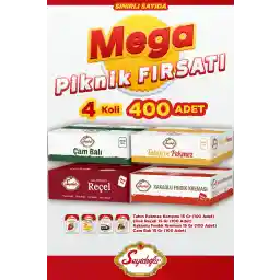 Seyidoğlu مگا پیک نیک صبحانه 4 جعبه