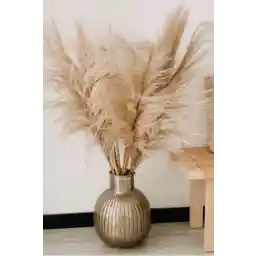 گل های خشک آلیونز 7 پک سایز بزرگ پامپا 100 سانتی متری