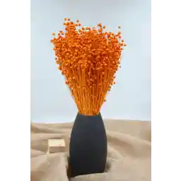 گل تزئینی کتان خشک (لونا گراس) پرتقال