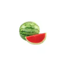 My Seed World Rare تایلند تخم هندوانه بدون دانه 10 عدد دانه دانه توت بچه