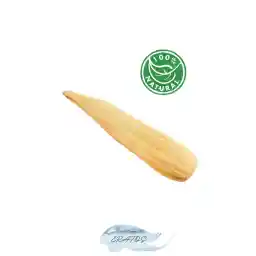 فیبر کدو حلوایی خام ERATOS 60 یا 70 سانتی متر- (بدنه+ظروف+تمیزکننده) – 1 عدد