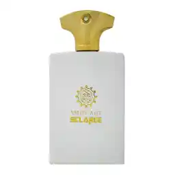 ادو پرفیوم مردانه اسکلاره مدل Amouage Honour حجم 100 میلی لیتر