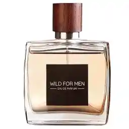 ادو پرفیوم مردانه استاویتا مدل Wild حجم 100 میل