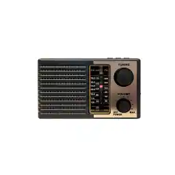 رادیو گولون مدل ICF-1BT