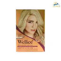 کیت رنگ مو ویلیس بلوند دودی روشن شماره 9.13