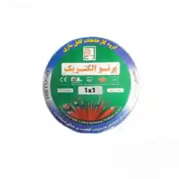 سیم افشان 1*1 پرتو الکتریک (فروش بصورت حلقه 100 متری) the wire