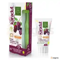 خمیر دندان کودک ایوب صبری حاوی عصاره شاه توت 60 میل بهمراه یک عدد مسواک