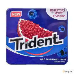 آدامس با طعم بلوبری تریدنت بسته 14 عددی