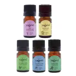 روغن خانه اسطوخودوس اکالیپتوس نعناع لیمو درخت چای 5x5ml ست اسانس