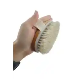 برس ضد سلولیت موی اسب ILTERUS