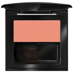 رژ گونه این لی دارای آینه و برس