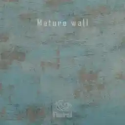 بک دراپ فلکسی رول طرح Mature Wall
