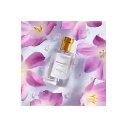 Loris K-204 Frequence Parfume Edp 50ml عطر زنانه گل و میوه