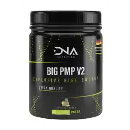 Dna Nutrition Big Pmp قبل از تمرین 240 گرم با طعم میوه های گرمسیری