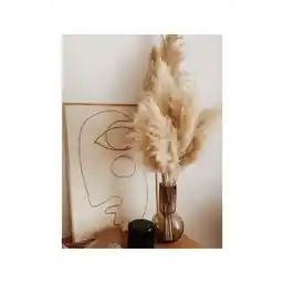 1001Naturel 10 طبیعی پامپاس چمن 50 سانتی متر