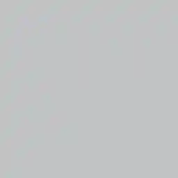 فون کاغذی Savage Widetone Seamless #57 Gray Tint