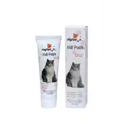 MYFEO My Feo 100 Gr. Kedi Maltı