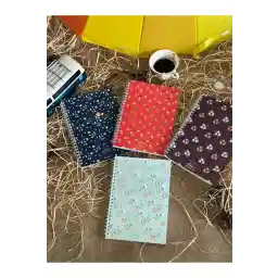 FİBA VISUAL SERVICES A5 دفترچه یادداشت مدرسه 4 بسته 80 برگ با مارپیچ، 2 خط دار، 2 مربع