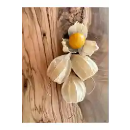 گان تارم توت فرنگی طلایی Physalis Proviana ) 200 گرم