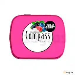 خوشبو کننده دهان بدون شکر کامپس با طعم توت وحشی 14 گرم